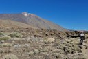 Teide hiking tour light version.jpg