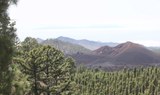quad buggy adventure in Teide forest