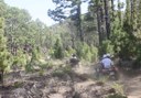 Teide quad tour