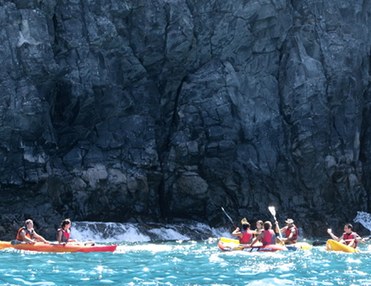 Dolphin Kayaking tour in Palm Mar (2h)