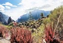 Amazing landscape view Masca hike.jpg