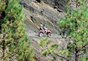 quad bike tour through Tenerife landscapes and forests