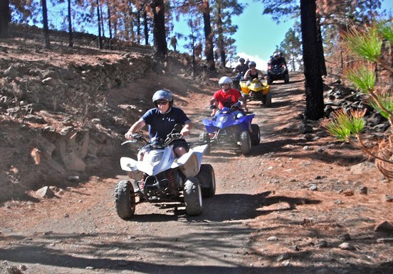 Explore Tenerife forest on quad.jpg