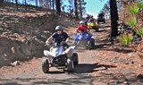 Explore Tenerife forest on quad.jpg