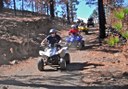 Explore Tenerife forest on quad.jpg