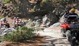 Tenerife quad safari forest trail.jpg