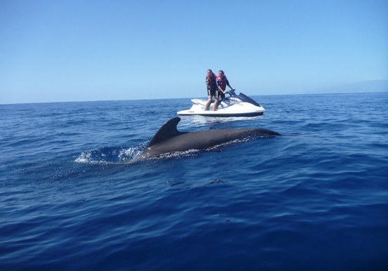 jet ski safari in Tenerife