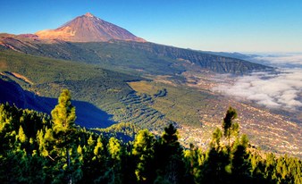 Teide Masca Grand Bus Tour (south pick-up)