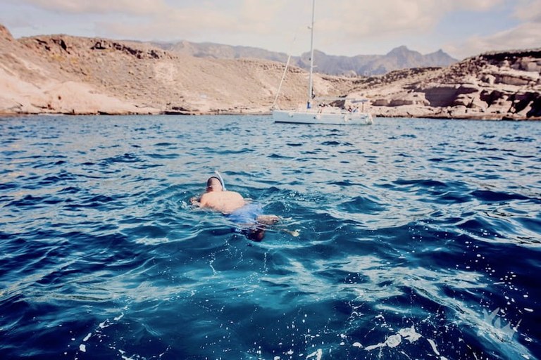 Whalewatching with swimming and snorkel-min.jpg