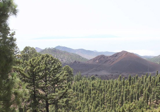 quad tour in Masca