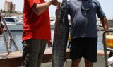 Big game fishing in Los Gigantes