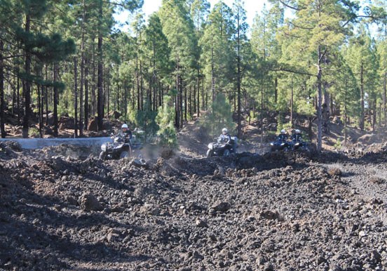 discover Teide forest thru quad adventure
