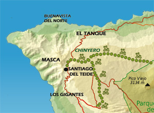 Forest Quad Tour Map.jpg