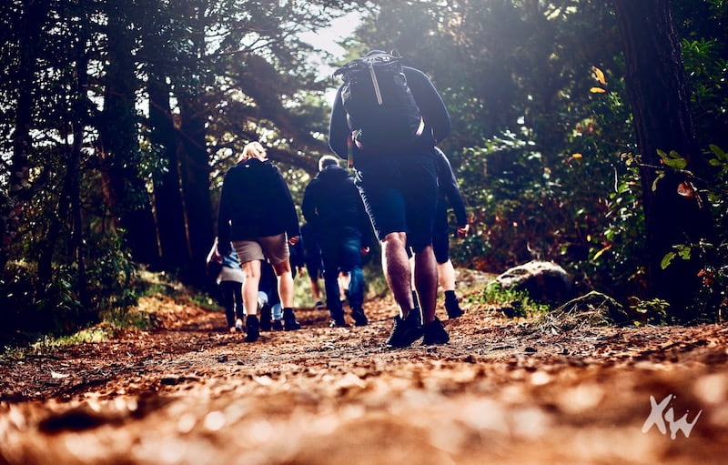 Hiking in the laurisilva forest in Tenerife.jpg