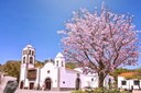The church of Santiago Teide and almonds tree.jpg