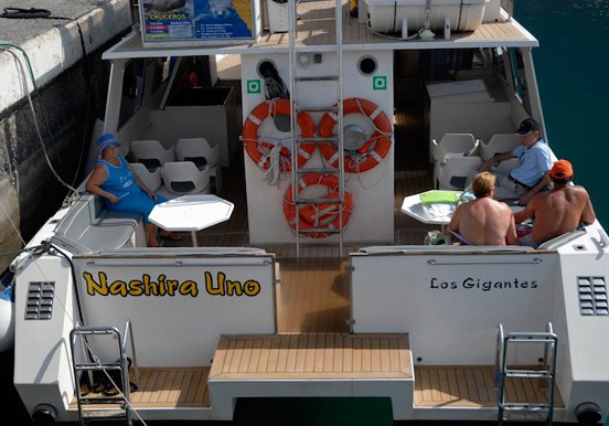Boat tour Los Gigantes.jpg