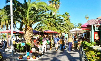 Puerto de la Cruz Bus Transfer (return)