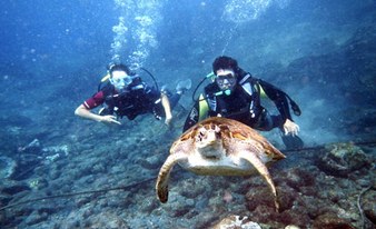 Scuba Diving Baptism