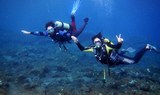 Scuba baptism near Los Gigantes.jpg