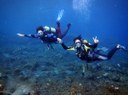 Scuba baptism near Los Gigantes.jpg