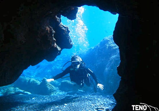 scuba diving in Tenerife