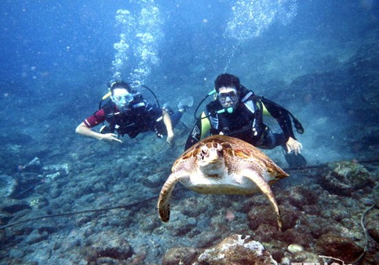 Scuba Diving Taster Tenerife