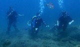 Scuba taster in Tenerife.jpg