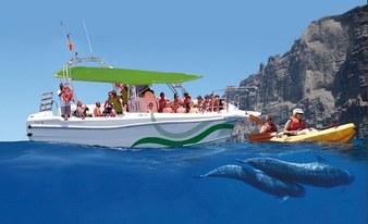 Sea kayaking in Los Gigantes + whale and dolphin watching