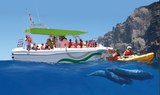 Kayaking and whalewatching Los Gigantes.jpg