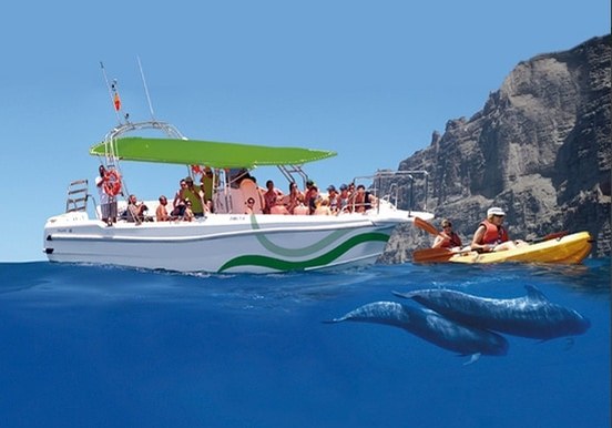 Kayaking and whalewatching Los Gigantes.jpg