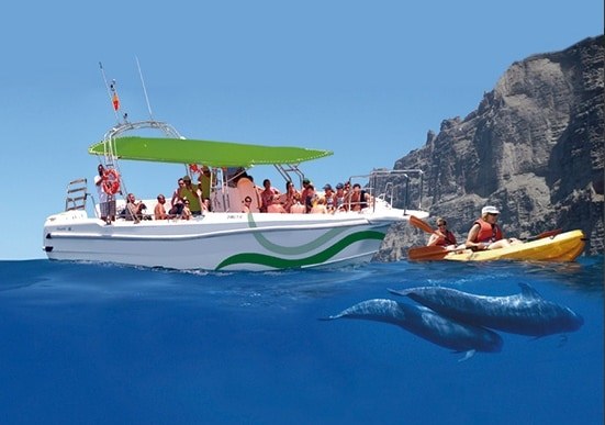 Kayaking and whalewatching Los Gigantes.jpg