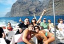 whale and dolphin watching in Los Gigantes
