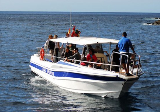 whale watching on Gladiator U boat.jpg