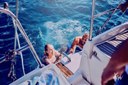 Enjoy swimming on whale watching safari Tenerife-min.jpg