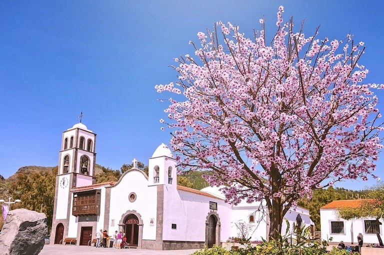 The church of Santiago Teide and almonds tree.jpg
