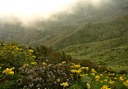 hike in Teno adventure