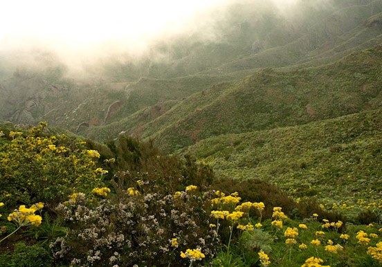 hike in Teno adventure