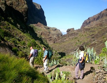Hiking Masca Gorge and Dolphin Watching (3.5h)