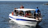 Water taxi from Masca to Los Gigantes