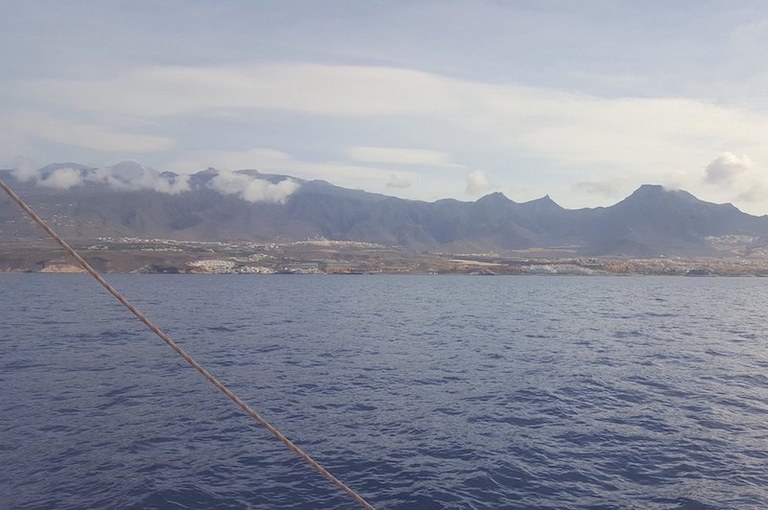 Stunning coastline Tenerife.jpg