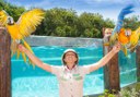 exotic bird show at Jungle Park