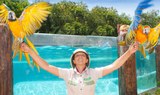 exotic bird show at Jungle Park
