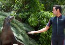 Jungle Park sea lion show
