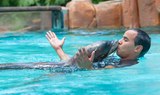 Jungle Park sea lions show
