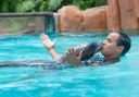 Jungle Park sea lions show