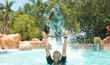sea lions show in Jungle Park