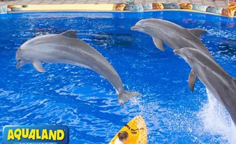 Aqualand