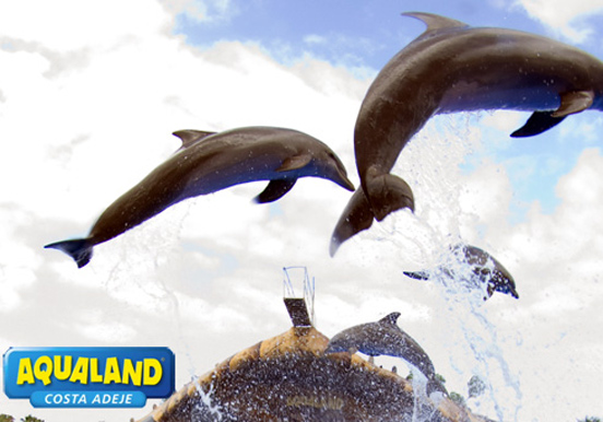 Aqualand dolphins show