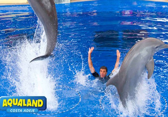 dolphins in Aqualand