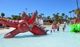 dragonland in Aqualand